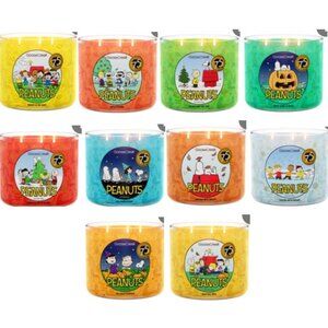 NEW Rare New Full Set GooseCreek Peanuts 75th Anniversary 10 Candle Set